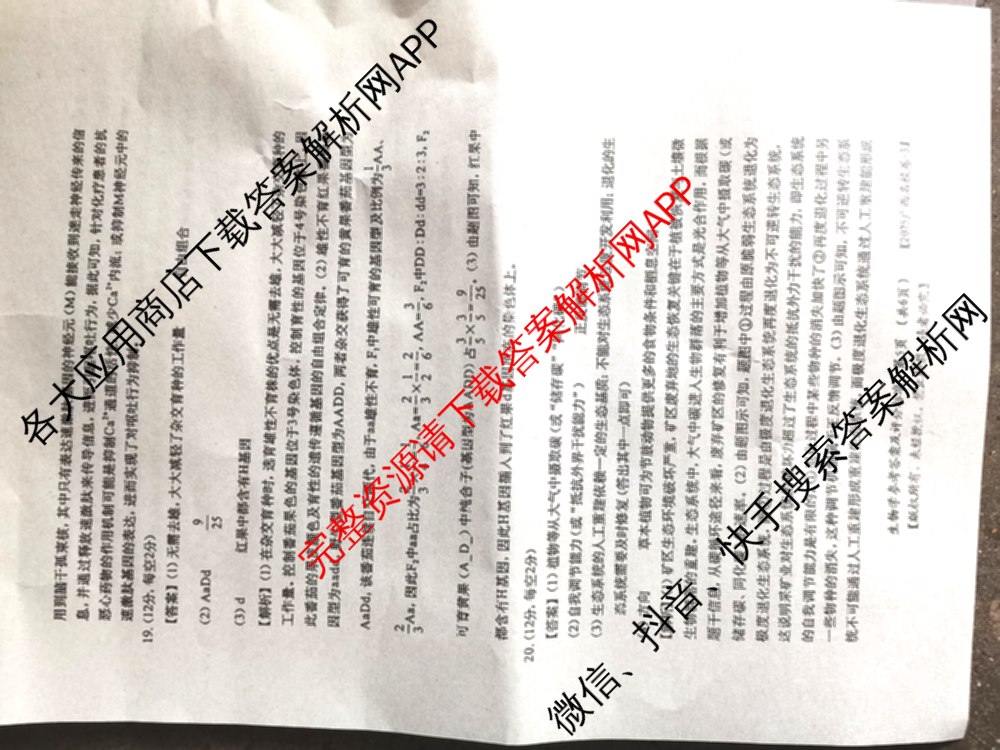 广西名校高考模拟试卷第一次调研考试[2025广西名校卷-3]（含化学 物理 历史等）生物答案