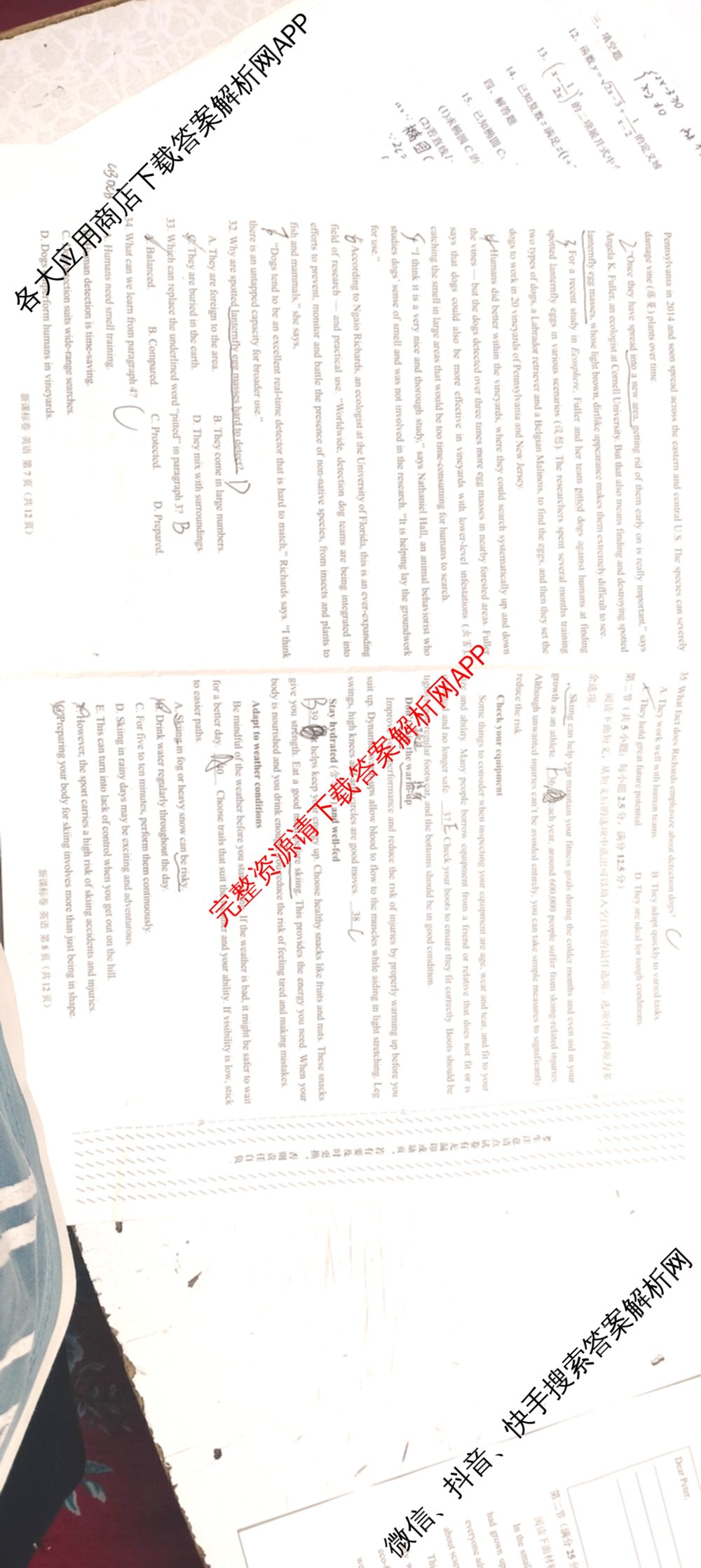 学科网2026届新高三学情摸底考各科答案及试卷（含地理(甘肃) 历史(新课标卷) 历史(甘肃)等58份）英语试题