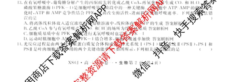 名校联考2026届高三总复习月考卷(一)1各科答案及试卷（9科全）生物试题