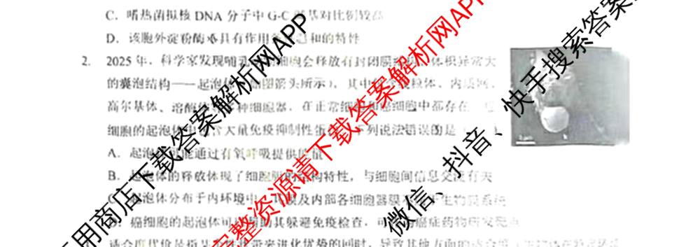 湖北省新八校协作体2025届高三5月联考(5.3)各科答案及试卷: 含历史 物理 英语试卷解析生物试题