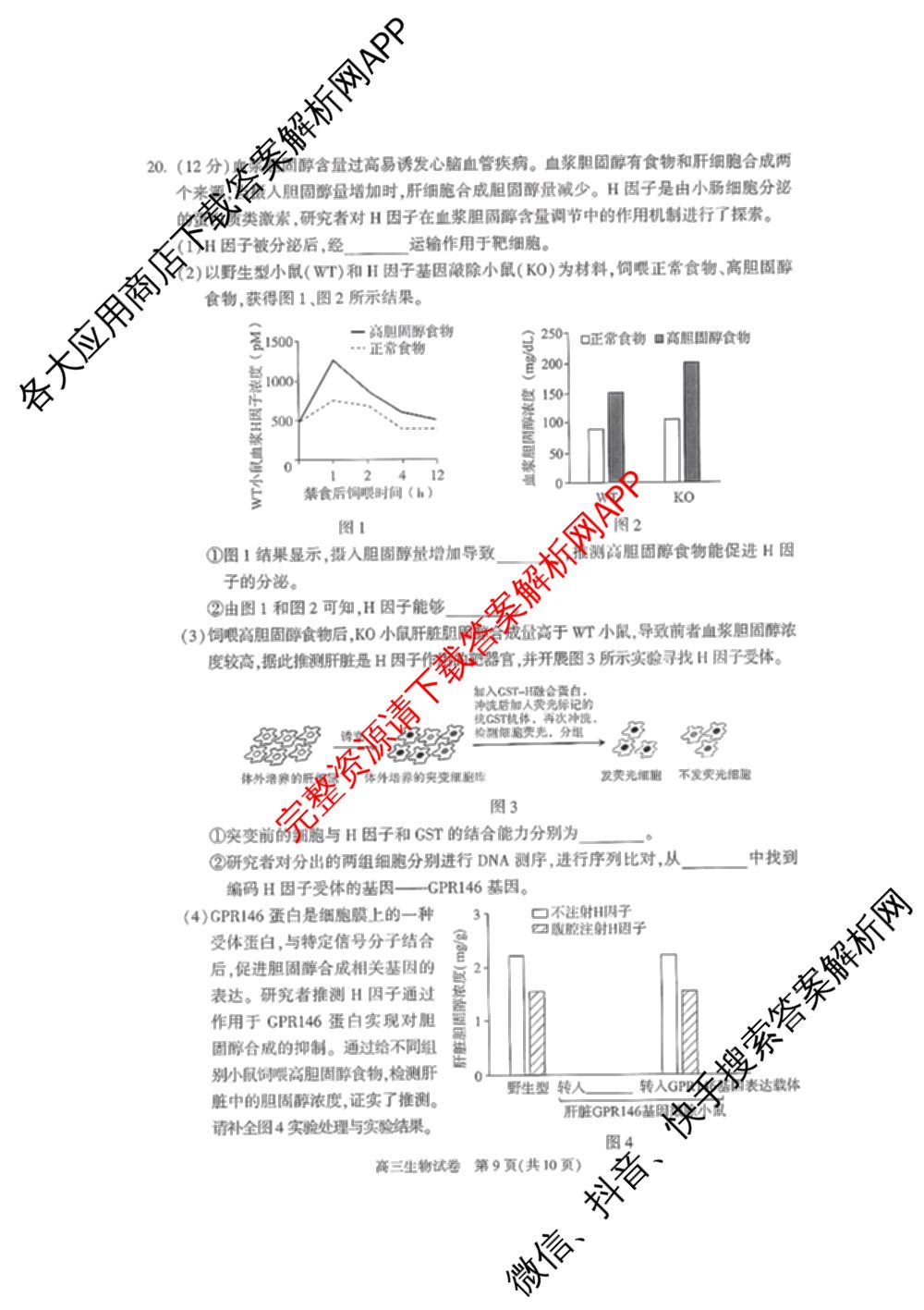 北京市朝阳区2024~2025学年度高三第一学期期末质量检测: 含物理 政治 化学试卷解析生物试题