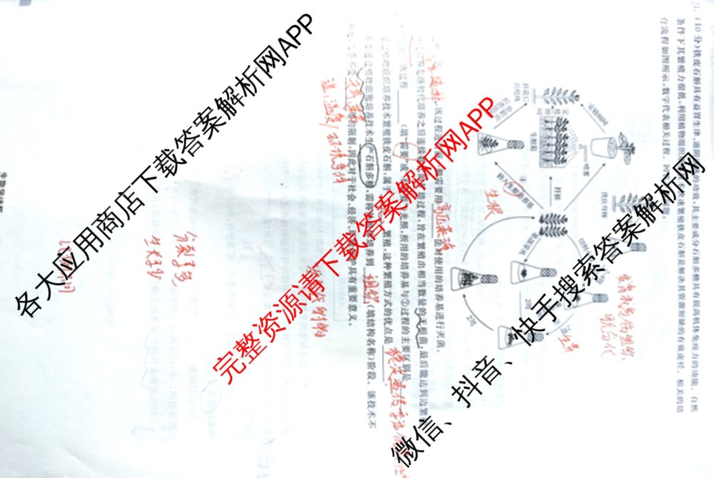 天舟高考衡中同卷2025届全国高三联合性检测(4月)（含物理(L专版)、生物(AH专版)、物理(J专版)等）生物试题