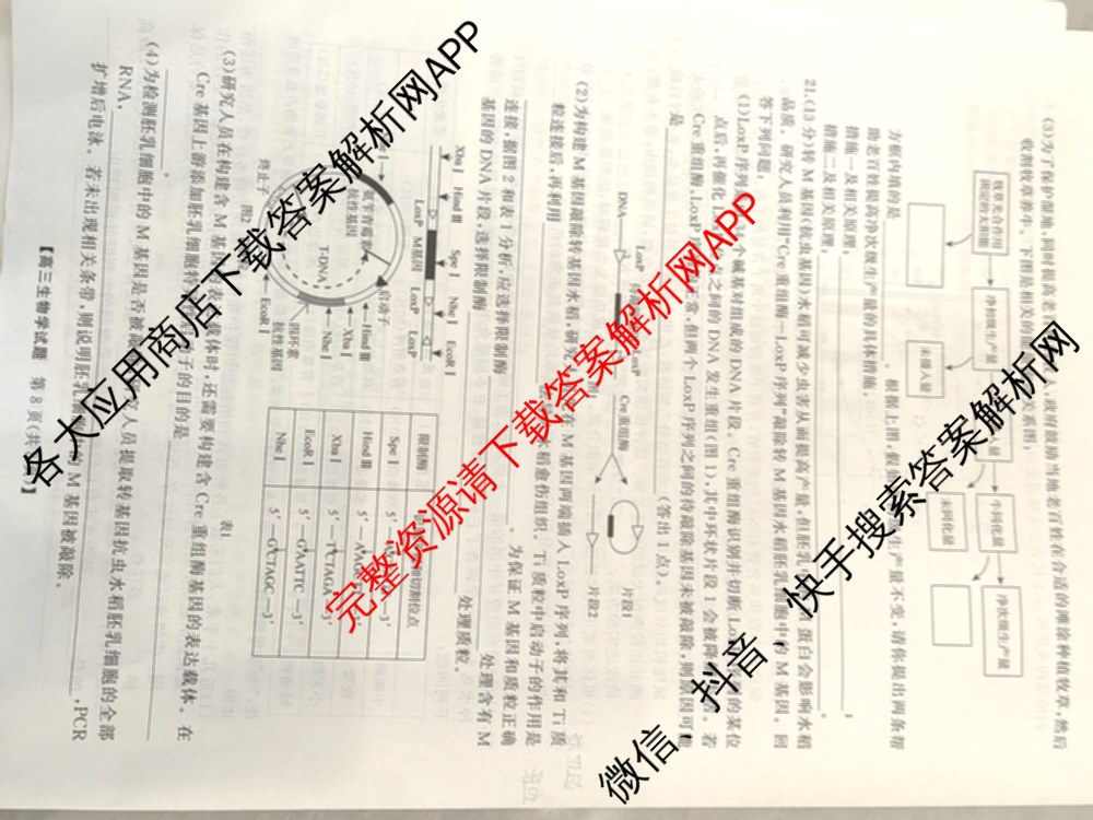 湖南省2025届高三冲刺压轴大联考各科答案及试卷（含数学 化学 政治等）生物试题