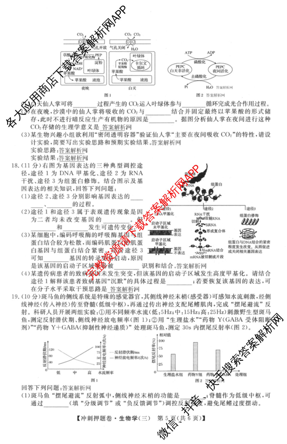 2026普通高等学校招生全国统一考试冲刺押题卷(三)3试卷及答案汇总（含生物(AC) 历史 地理(C)等15份）生物试题