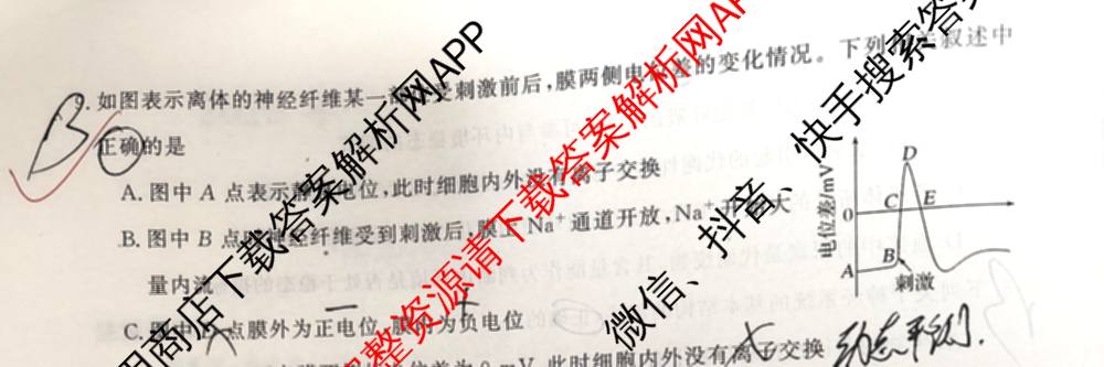 陕西省2025年~2026年度高二第一次考试(9月)试卷及答案汇总（含地理、化学、数学等）生物试题