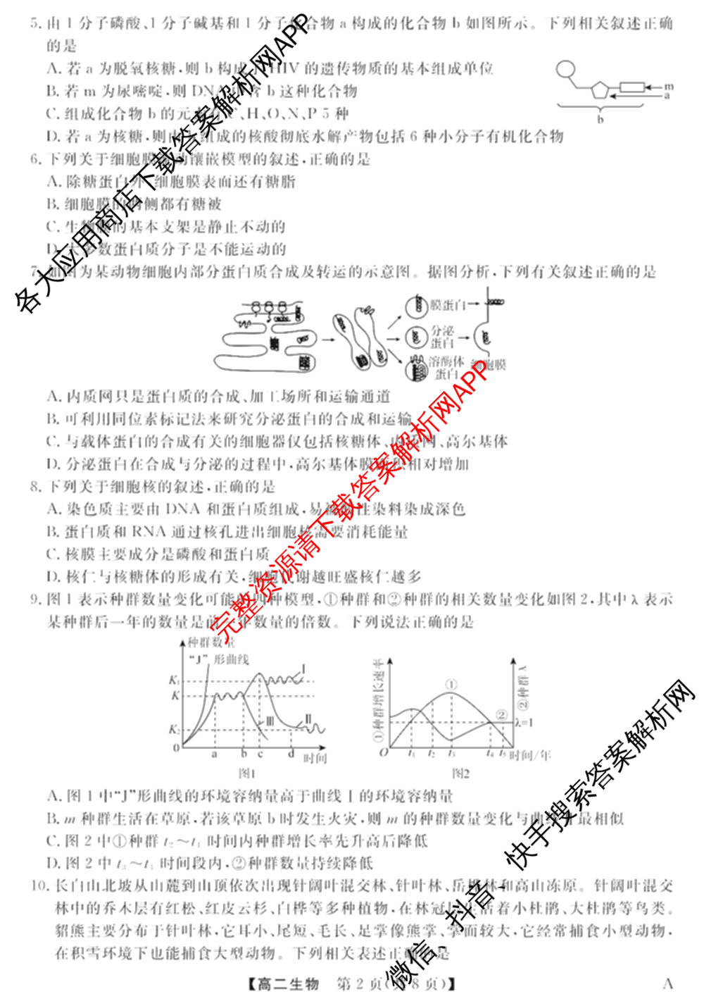 2024-2025学年福建百校高二期末考试(7月)各科答案及试卷（含化学(A)、数学(A)、物理(A)等）生物试题