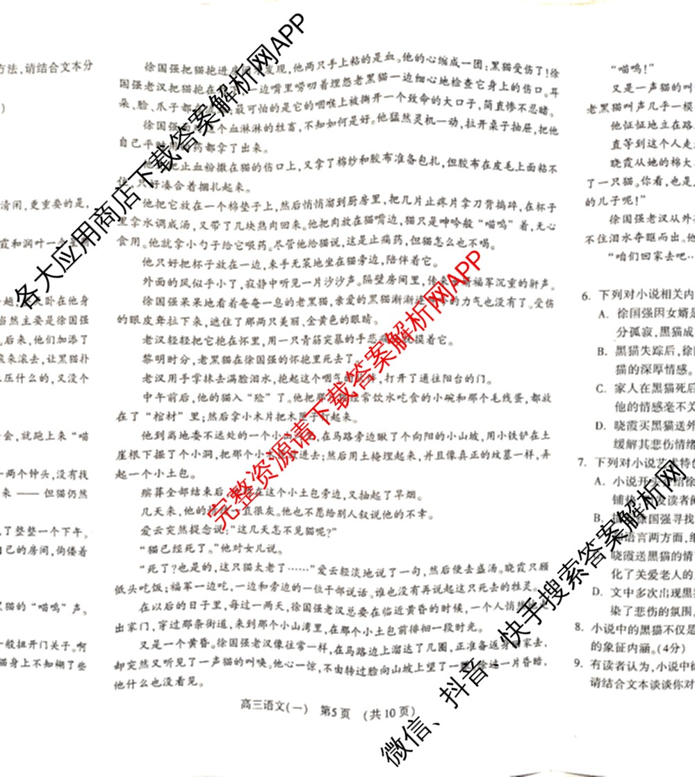 洛阳市2025届高三适应性模拟测试卷(一)各科答案及试卷(已更新化学、英语、语文等9份)语文试题