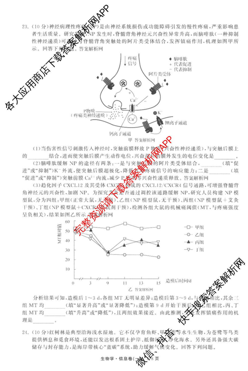 天舟高考衡中同卷2026年普通高等学校招生全国统一考试模拟信息卷(一)1(已更新政治(WY)、政治(河南版)、英语(通用版)等34份)生物试题