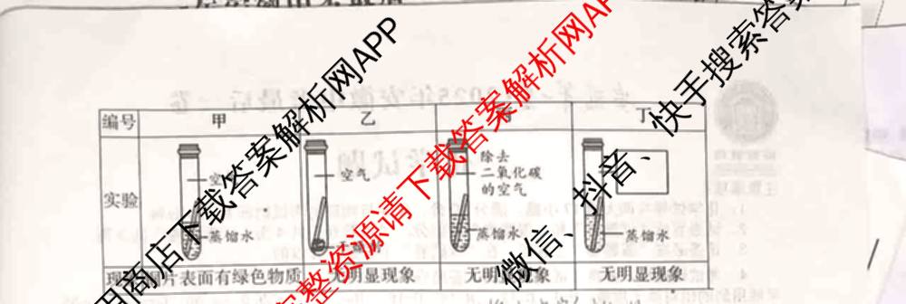 2025年安徽中考最后一卷: 含数学 物理 语文试卷解析化学试题