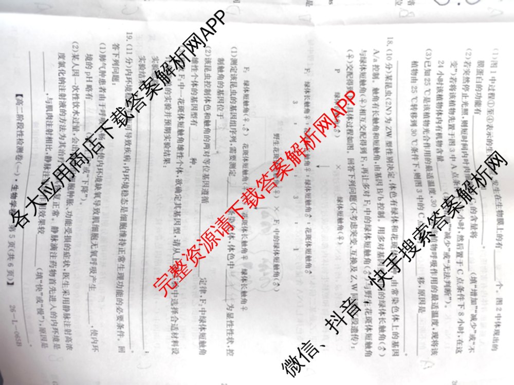 陕西省2024级高二第一学期阶段性检测卷(一)(26-L-065B): 含生物 地理 物理试卷解析生物试题