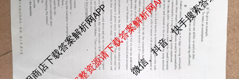 南宁三中2025届毕业班五月第二次适应性测试(2025.05)(已更新化学 历史 物理等9份)英语试题