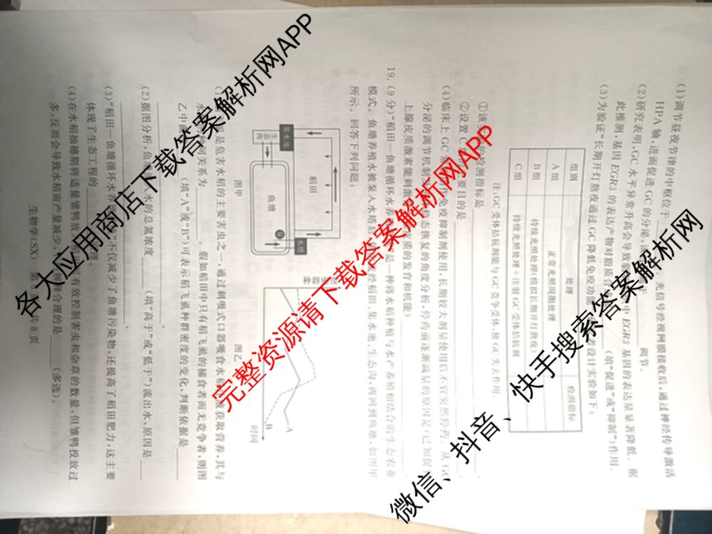 山西省2026届高三年级四月阶段练(SX)试卷及答案汇总(已更新生物(SX)、地理(HN)、政治(HN)等21份)生物试题