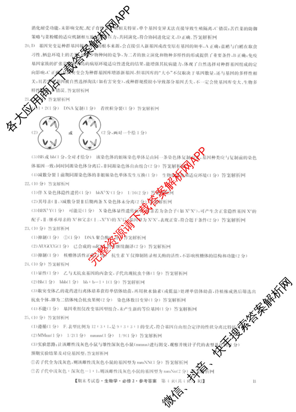 2025~2026学年度高一期末考试卷(下学期)试卷及答案汇总（9科全）生物答案