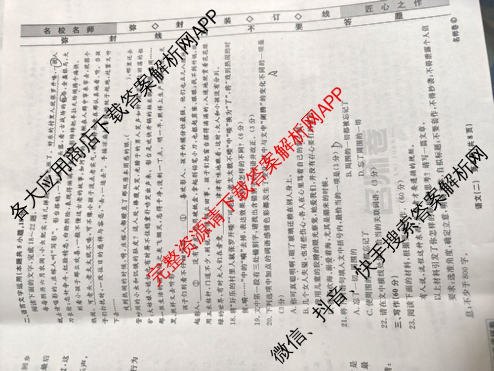 衡水名师卷高考模拟调研卷 2026年普通高等学校招生全国统一考试模拟试题(二)2（含政治 英语(YH) 英语(空心菱形)等）语文试题