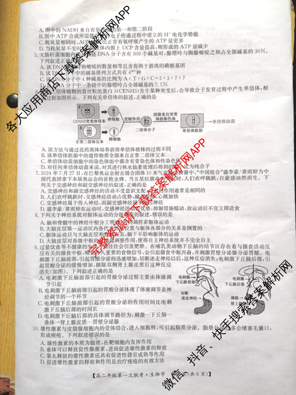九师联盟2024-2025学年江西省八校协作体高二年级第一次联考各科答案及试卷(已更新生物、化学、语文等9份)生物试题