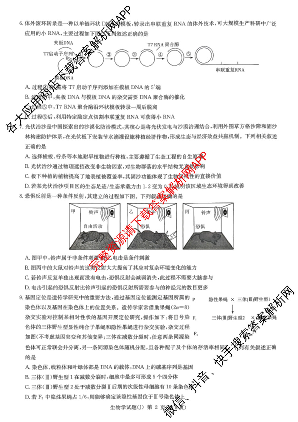 湖南省怀化市2026届高三一模(J)(已更新英语 历史 物理等10份)生物试题