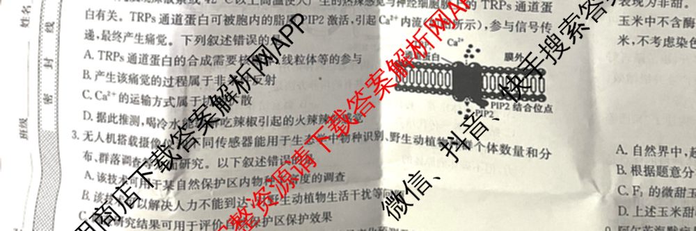 2024年全国高考模拟调研卷(三): 含物理(B Y) 文综(L) 文综(X Y)试卷解析生物试题