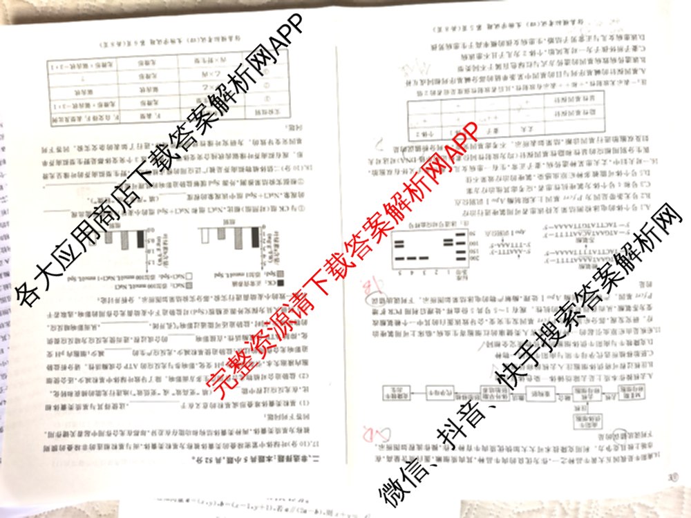 百师联盟2026届高三仿真模拟考试(四)（25科全）生物试题