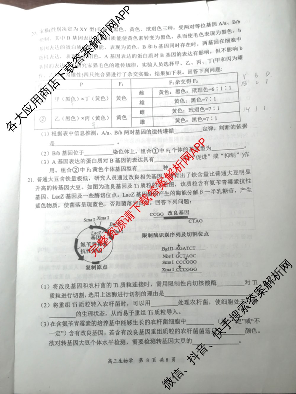 山西省2026届高三年级第一次模拟考试质量监测试卷各科答案及试卷（9科全）生物试题