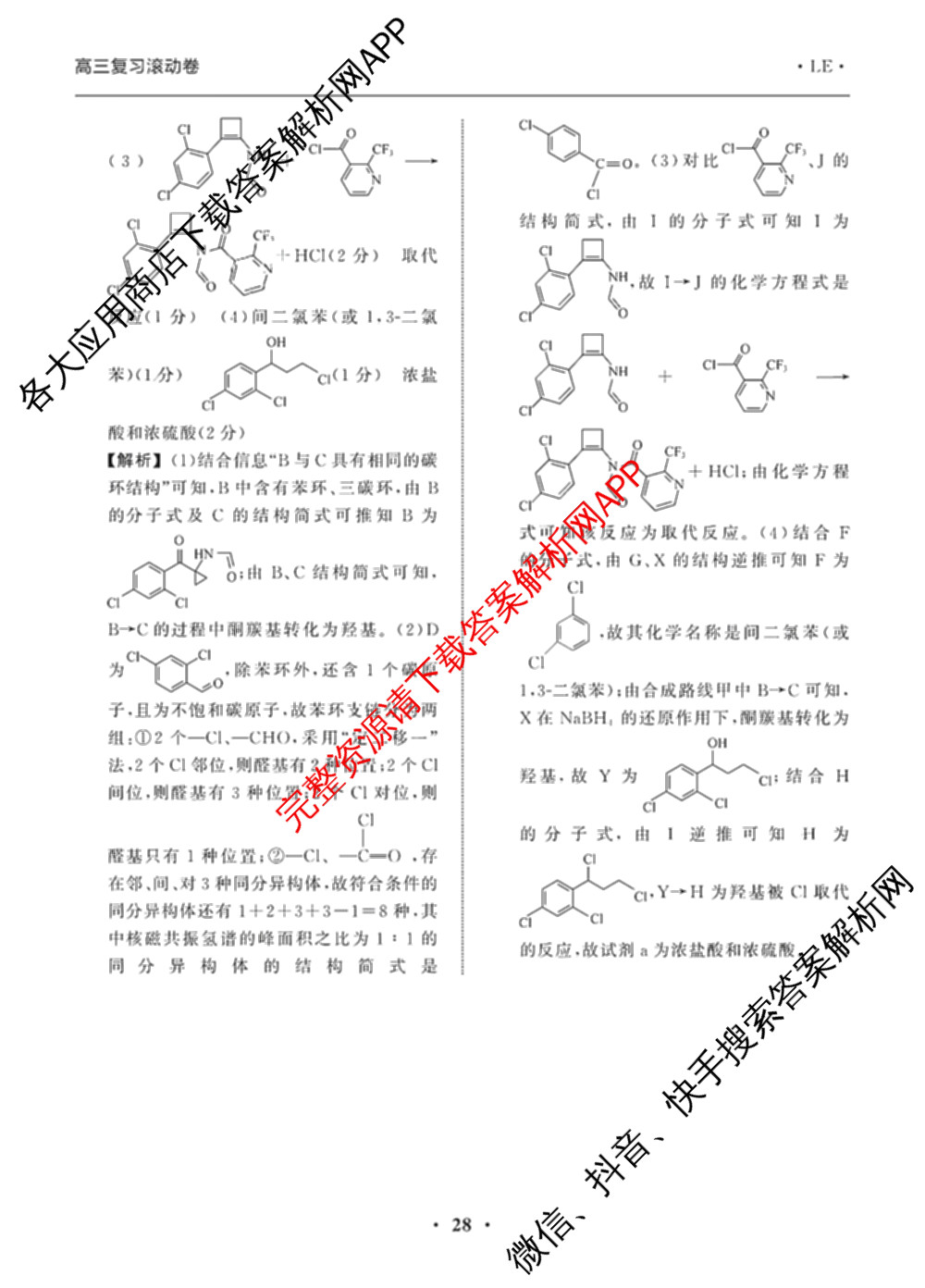衡中同卷2025-2026学年度高三复滚动卷(五)5各科答案及试卷: 含数学(B) 物理 生物试卷解析化学答案