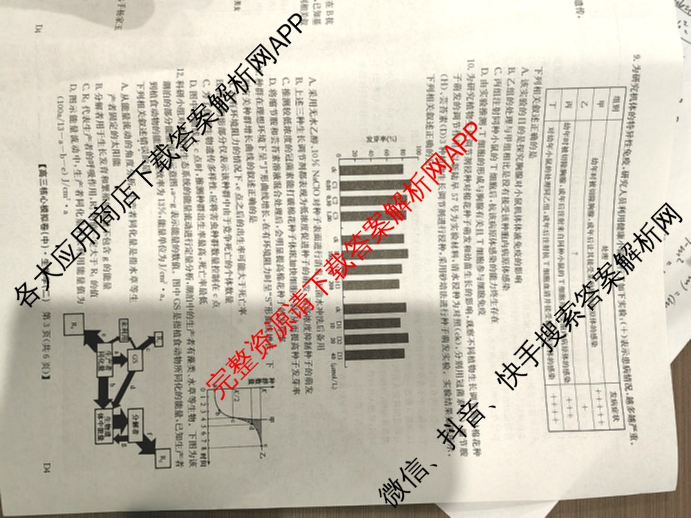 九师联盟2024~2025学年高三核心模拟卷(中)(二)2（含历史 地理(D4) 数学等29份）生物试题