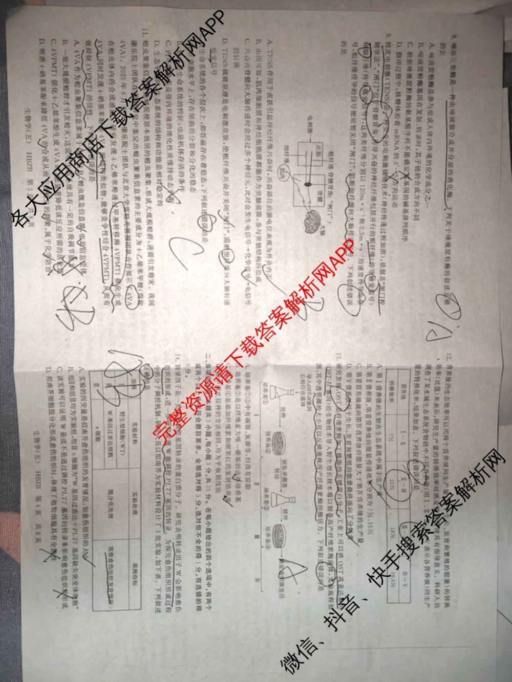 冲刺新高考2026届高考仿真训练(T8)(五)5试卷及答案汇总（含历史(河北专版)、地理(河南专版)、语文等）生物试题