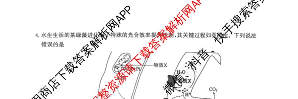 山东省滨州市2026届高三(无标题)(2026.3)试卷及答案汇总（含历史 物理 英语等）生物试题