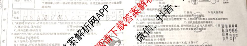 山西省2024~2025学年度八年级阶段评估(C)[PGZX D SHX(五)]试卷及答案汇总（含历史(R)、数学(HSD)、语文(R)等）生物试题