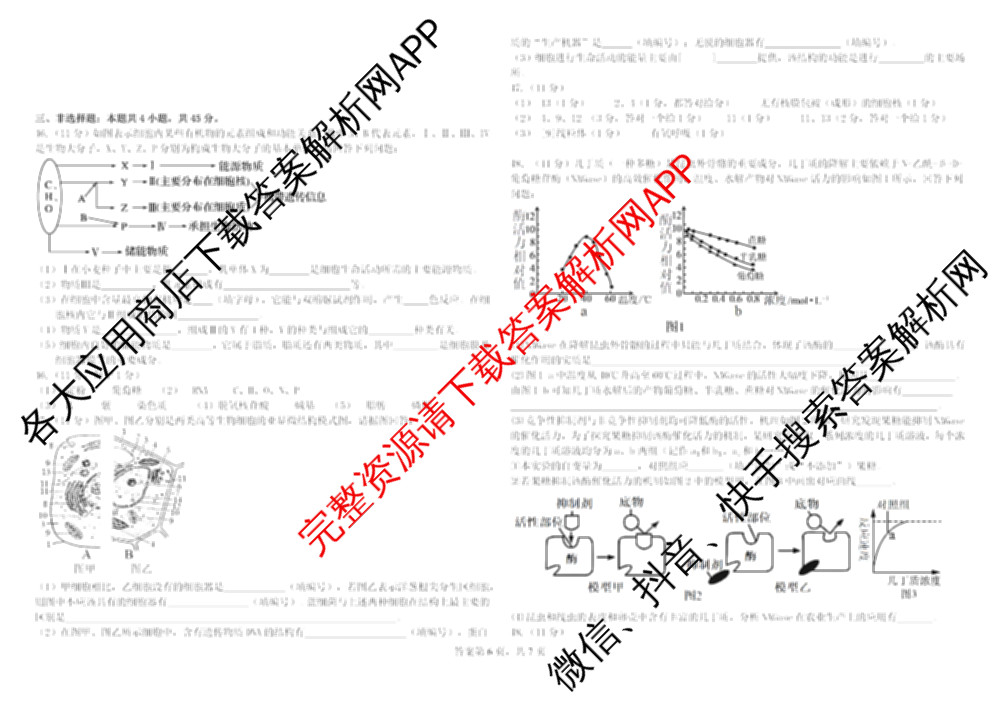 哈师大附中2025级2025-2026学年度第一学期期中考试各科答案及试卷: 含化学 地理 语文试卷解析生物答案
