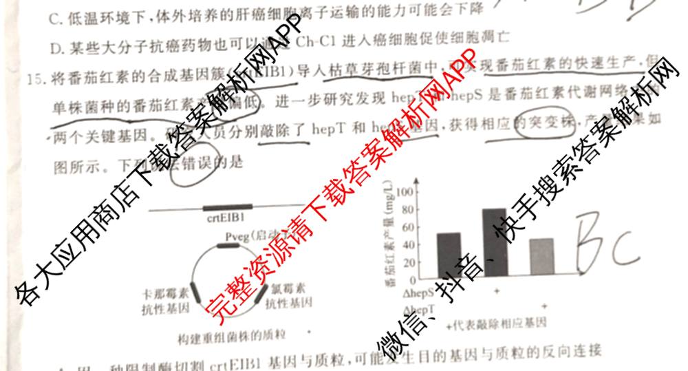 江西创智协作体2025年9月高三联合调研考试（含历史 数学 物理等）生物试题