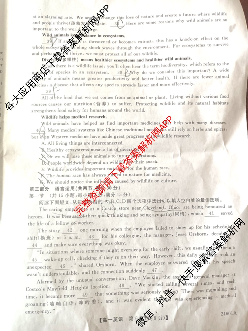 金科大联考2023-2024学年高一5月质量检测卷(24601A)(已更新英语、语文、生物等10份)英语试题