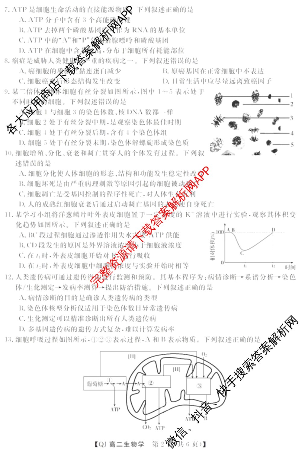 浙江强基联盟2026年高二9月题库(QJ)试卷及答案汇总（含物理、生物、历史等11份）生物试题