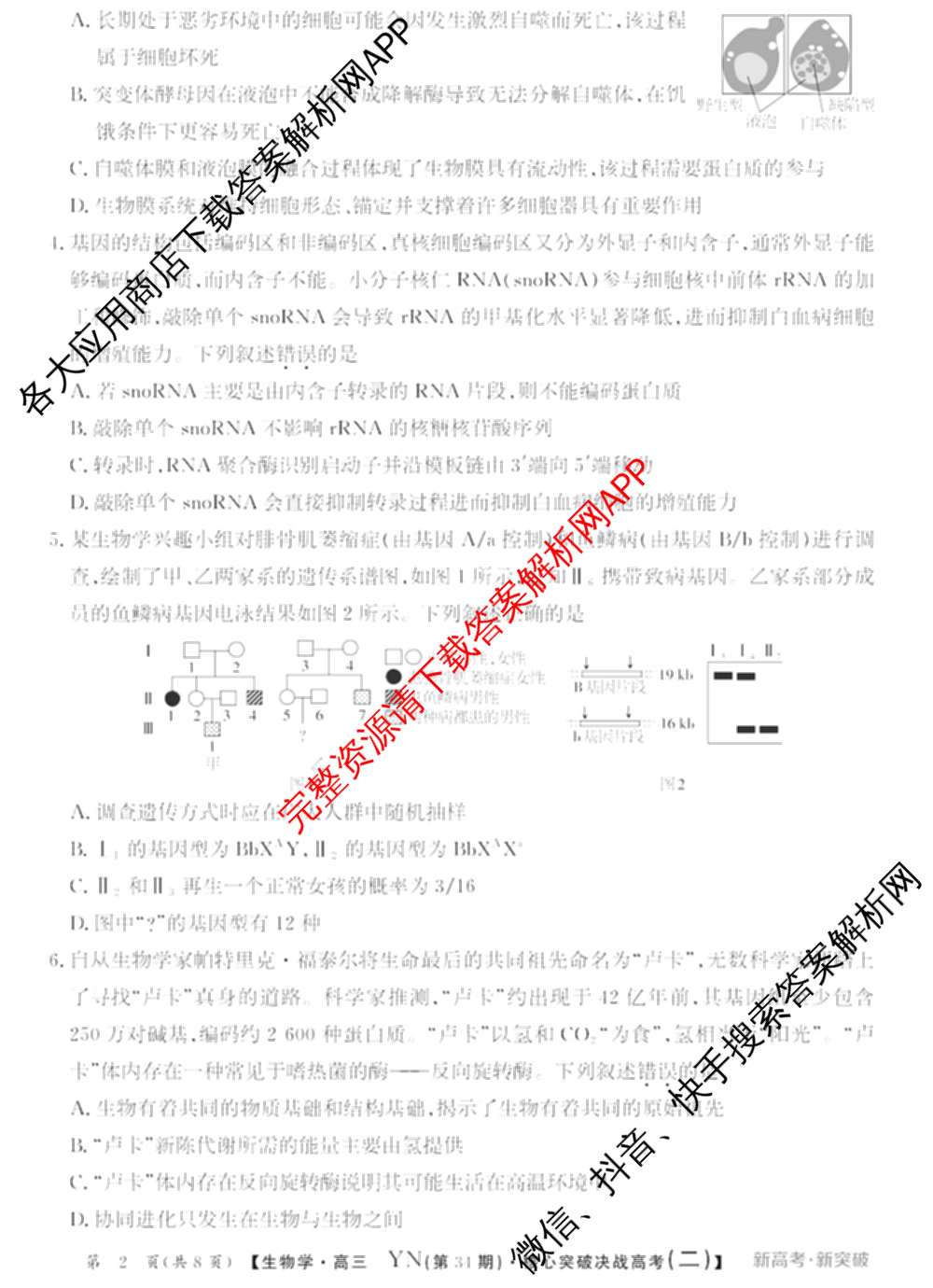 2025年普通高校招生统一考试核心突破决战高考(二)试卷及答案汇总（含地理(G DONG) 英语(G DONG) 物理(YN)等）生物试题