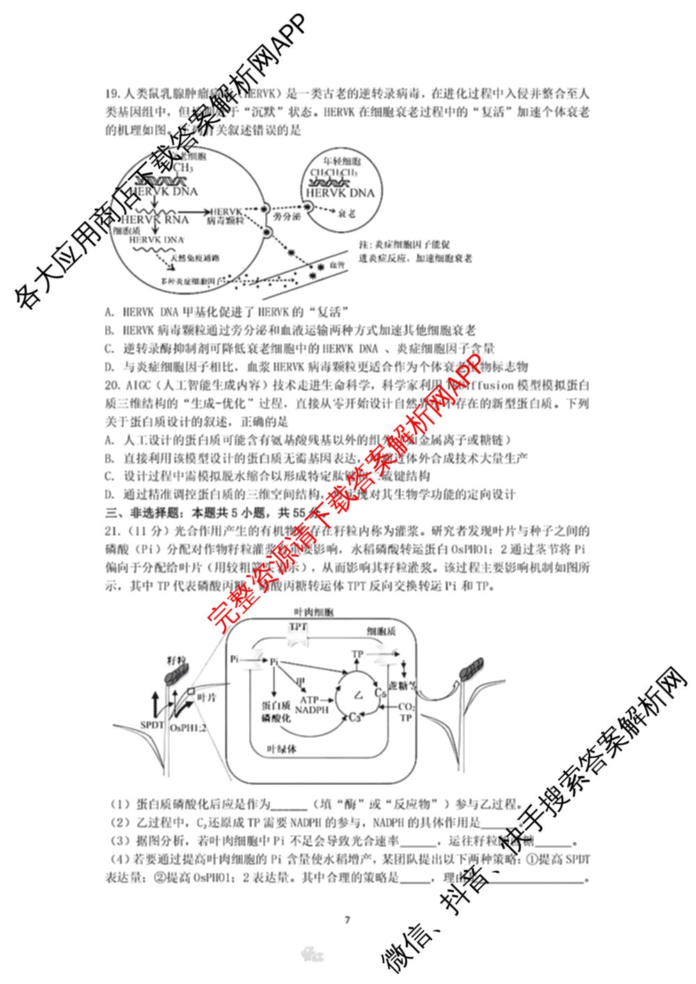 龙东十校联盟2025届高三联考4月试卷及答案汇总（9科全）生物试题