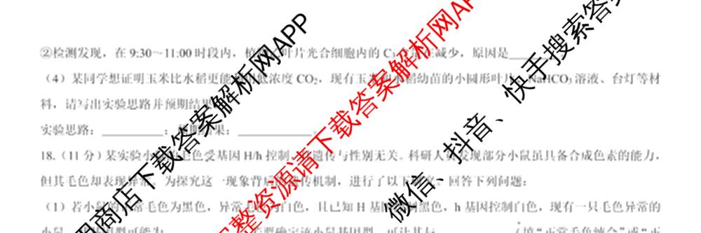 名校教研联盟2026届高考仿真模拟卷(样卷)试卷及答案汇总(含语文、物理(A)、物理(E)等11份)生物试题 名校教研联盟2026届高考仿真模拟卷(样卷)试卷及答案汇总(含语文、物理(A)、物理(E)等11份)生物试题