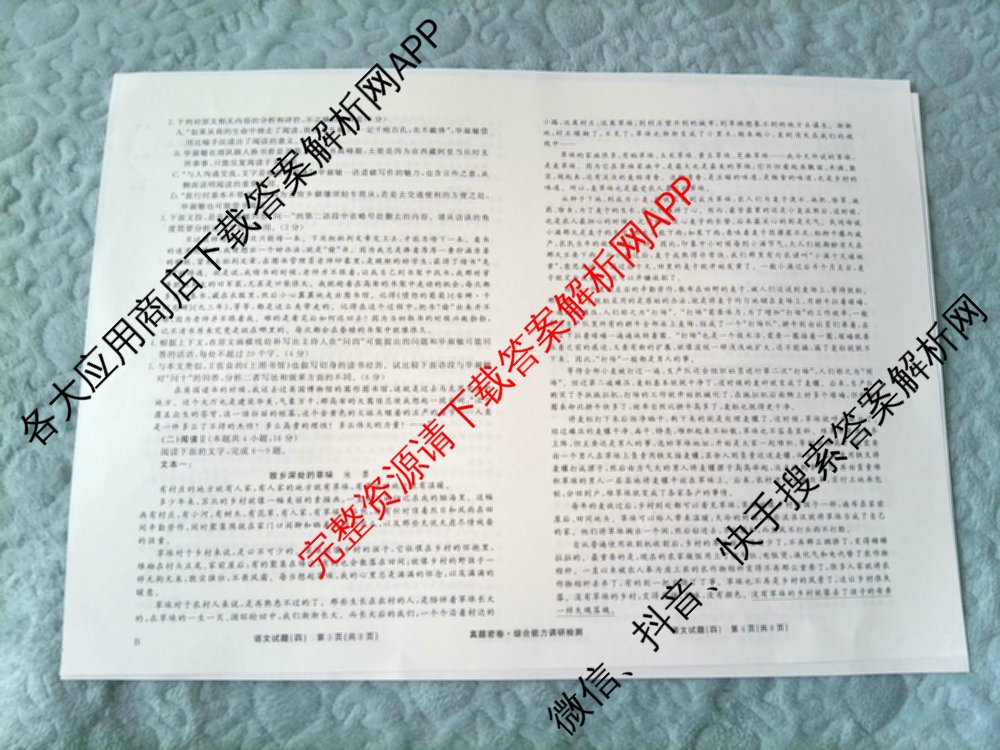 衡水真题密卷2025-2026学年度综合能力调研检测(四)4试卷及答案汇总（含化学(2)、历史(1)、英语(BT)等14份）语文试题