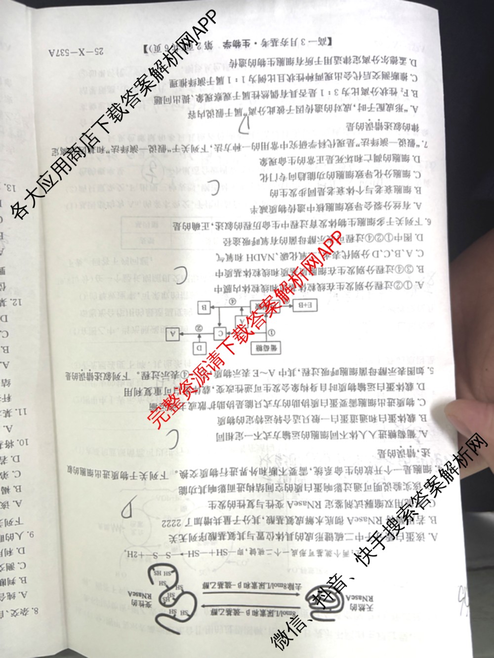 山西省2024~2025学年第二学期高一3月夯基卷(25-X-537A)（含英语、物理、数学(A卷)等）生物试题