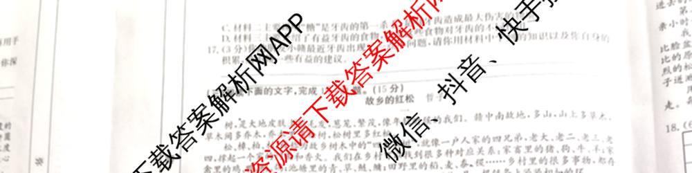 江西省2025年初中学业水考试冲刺(一)（7科全）语文试题
