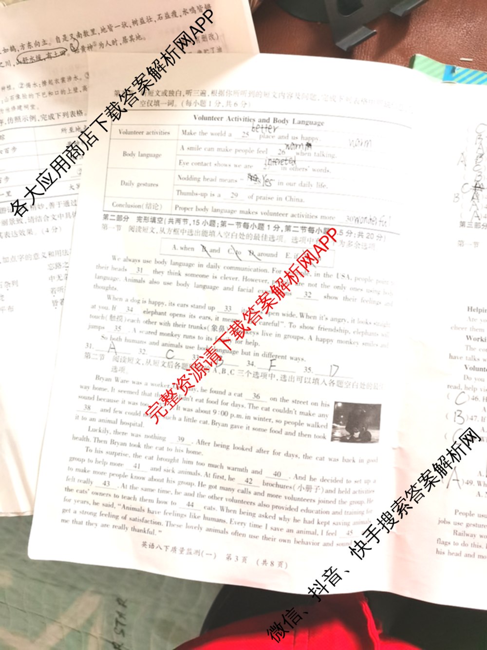 中考通贵州省2026年八年级(下册)阶段性质量监测(一)(已更新语文 历史 英语等8份)英语试题