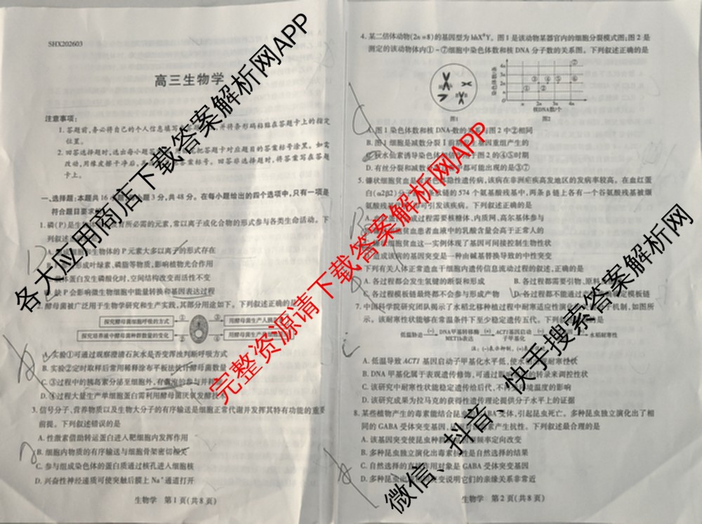 天一大联考2025-2026学年高三3月联考(SHX202603)试卷及答案汇总(已更新生物、物理、地理等9份)生物试题