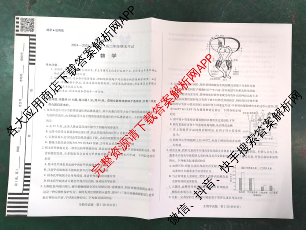 天一大联考2024-2025学年(上)高二年级期末考试各科答案及试卷（含英语(A卷) 政治(B卷) 地理(A)等）生物试题