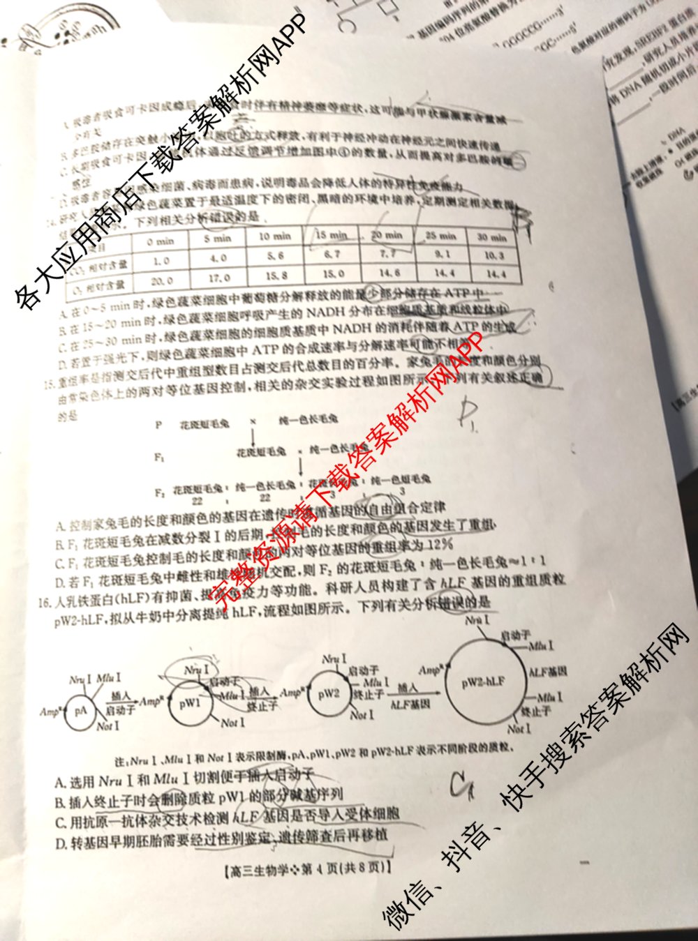 陕西省2026届高三考试(四个实心菱形)(3.5)试卷及答案汇总（9科全）生物试题