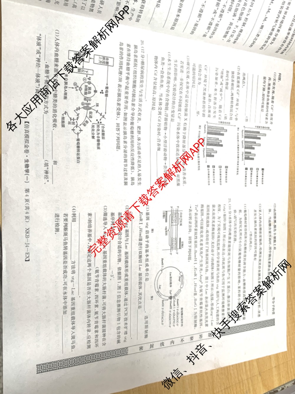 XKB-J-EX 2026届普通高等学校招生全国统一考试仿真模拟金卷(一)1（含物理(XKB-J2-EX)、语文(XKB-J1-EX)、化学(XKB-J1-B-EX)等10份）生物试题