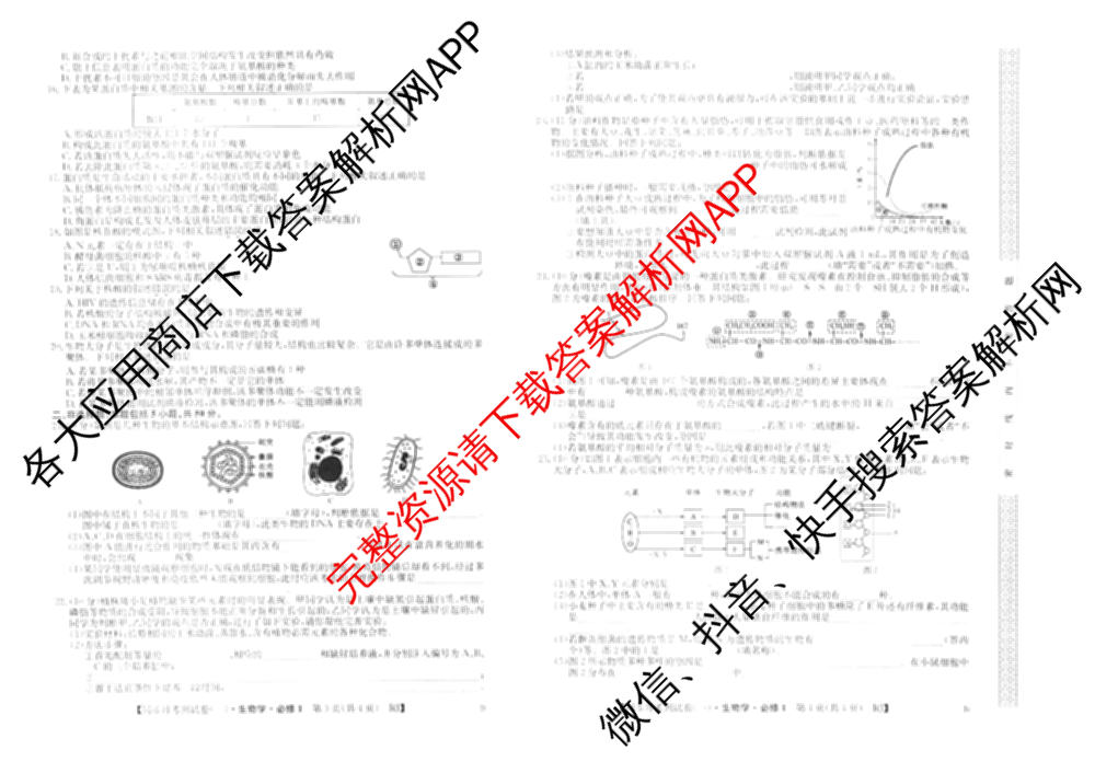2024-2025学年度高一高中同步月考测试卷(一)试卷及答案汇总(已更新语文(必修上册 RJ)、政治(必修1 RJ)、数学(必修第一册 BSD)等11份)生物试题