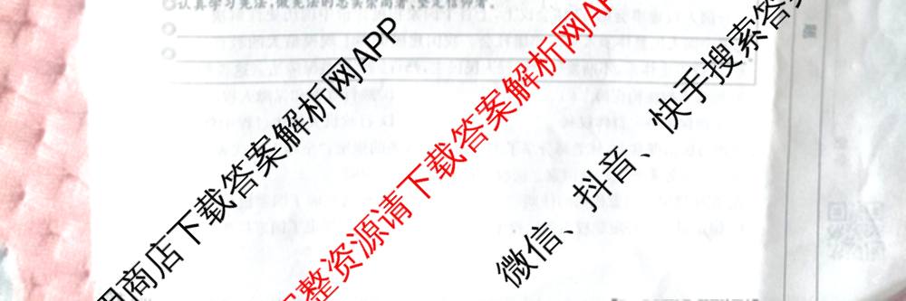 山西省2024~2025学年度八年级阶段评估(C)[PGZX D SHX(五)]试卷及答案汇总（含历史(R)、数学(HSD)、语文(R)等）道德与法治(R)试题