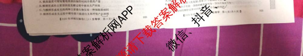 2026年全国高考冲刺压轴卷(二)2(已更新历史(HN) 化学(江西) 历史(广西)等75份)生物试题