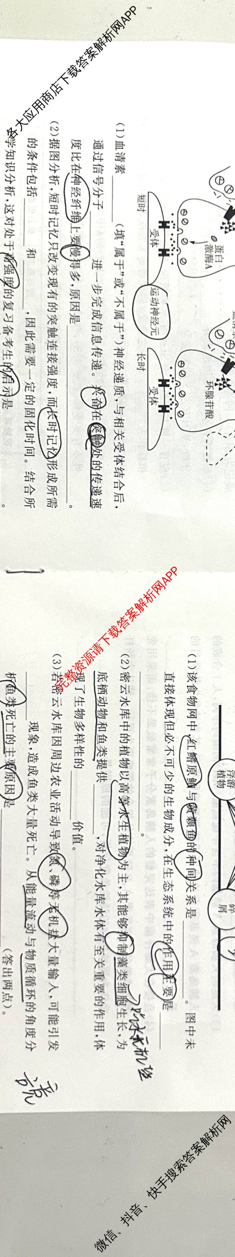 湘豫名校联考2025-2026学年4月高三(4.9)各科答案及试卷: 含生物、物理、化学试卷解析生物试题