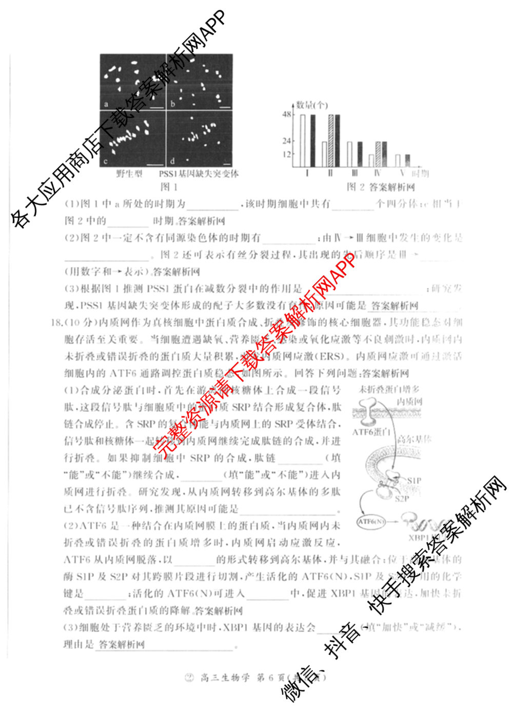 百师联盟2027届高三一轮复联考(二)(9.22)(无标题②)（33科全）生物试题