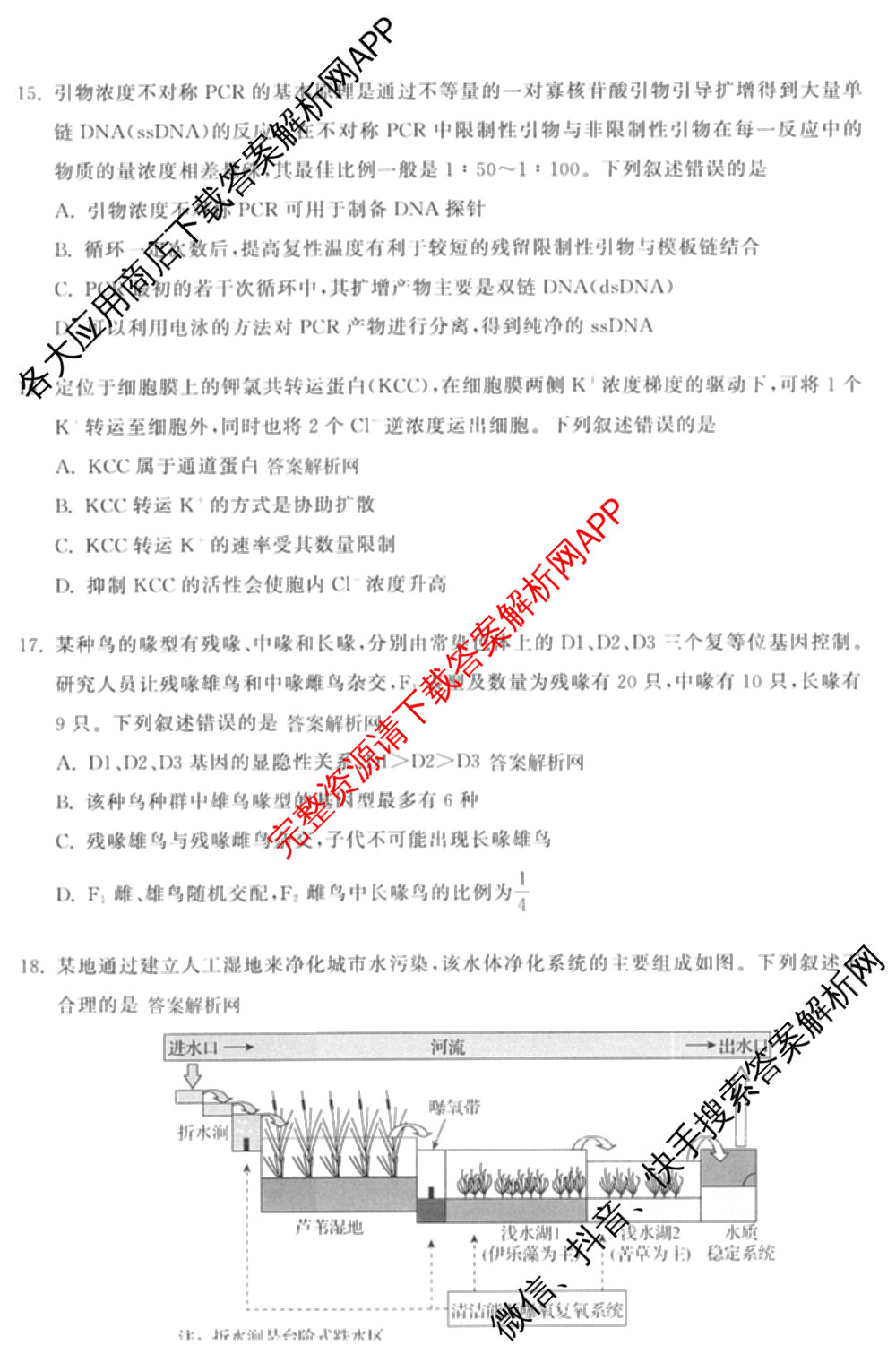 天舟高考衡中同卷2026年普通高等学校招生全国统一考试模拟信息卷(四)4试卷及答案汇总: 含化学(山东版)、生物(WY)、英语(B)试卷解析生物试题
