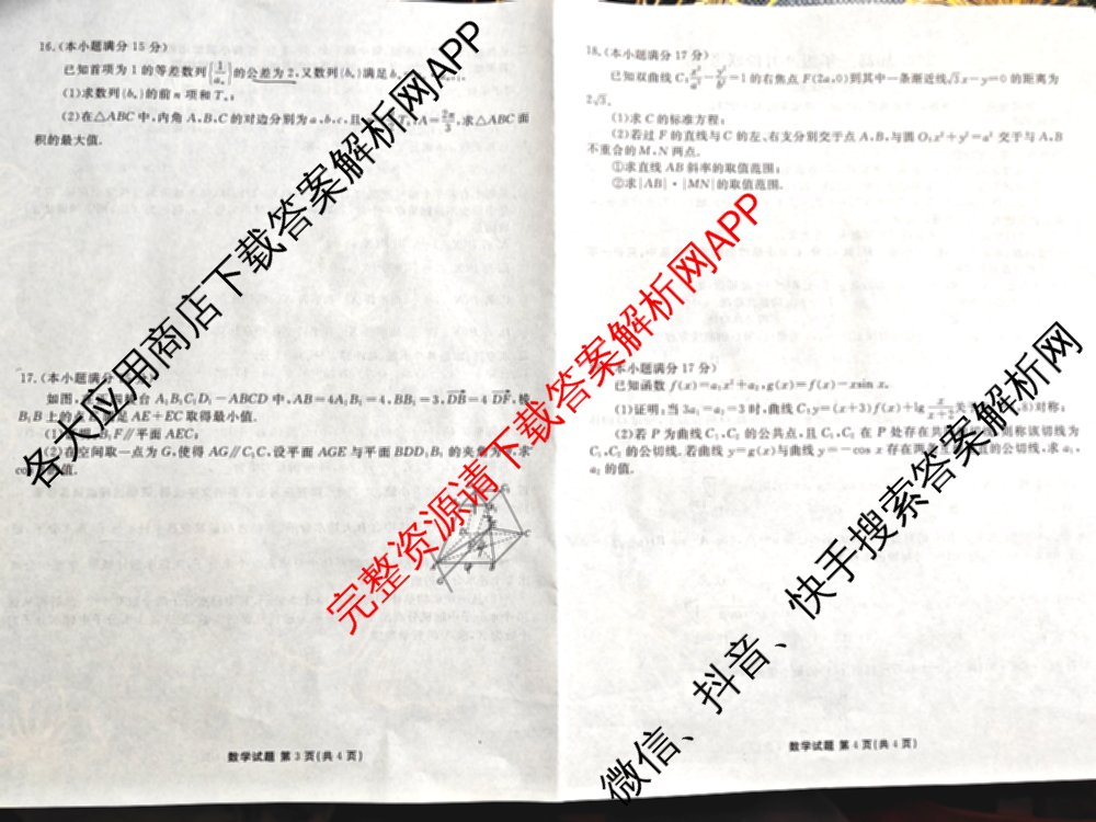 衡水金卷广东省2025届高三年级9月份联考各科答案及试卷（含英语 物理 历史等）数学试题